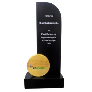Custom Corporate Recognition Trophy