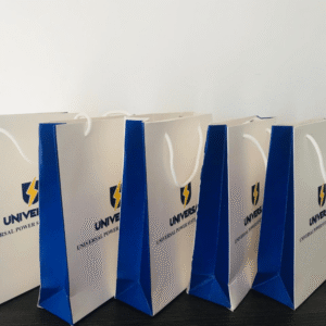 Custom Printed Paper Gift Bag